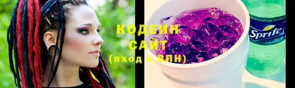 соль ск Бородино