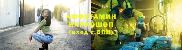 соль ск Бородино