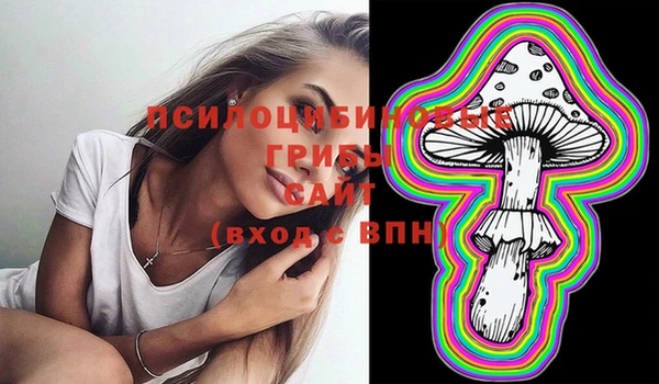PSILOCYBIN Беломорск
