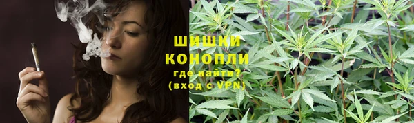 соль ск Бородино