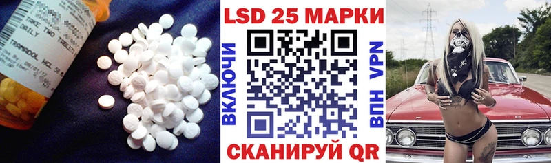 LSD-25 экстази ecstasy  darknet состав  Каргат 