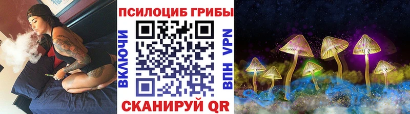 Псилоцибиновые грибы Magic Shrooms  Каргат 